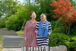 静姐爆料最新动态视频,揭秘幕后故事，精彩瞬间不容错过