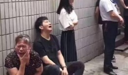 杭州小学爆料案件最新,揭开校园安全隐忧的真相