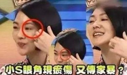 成源家暴爆料视频最新,真相揭露，受害者勇敢发声